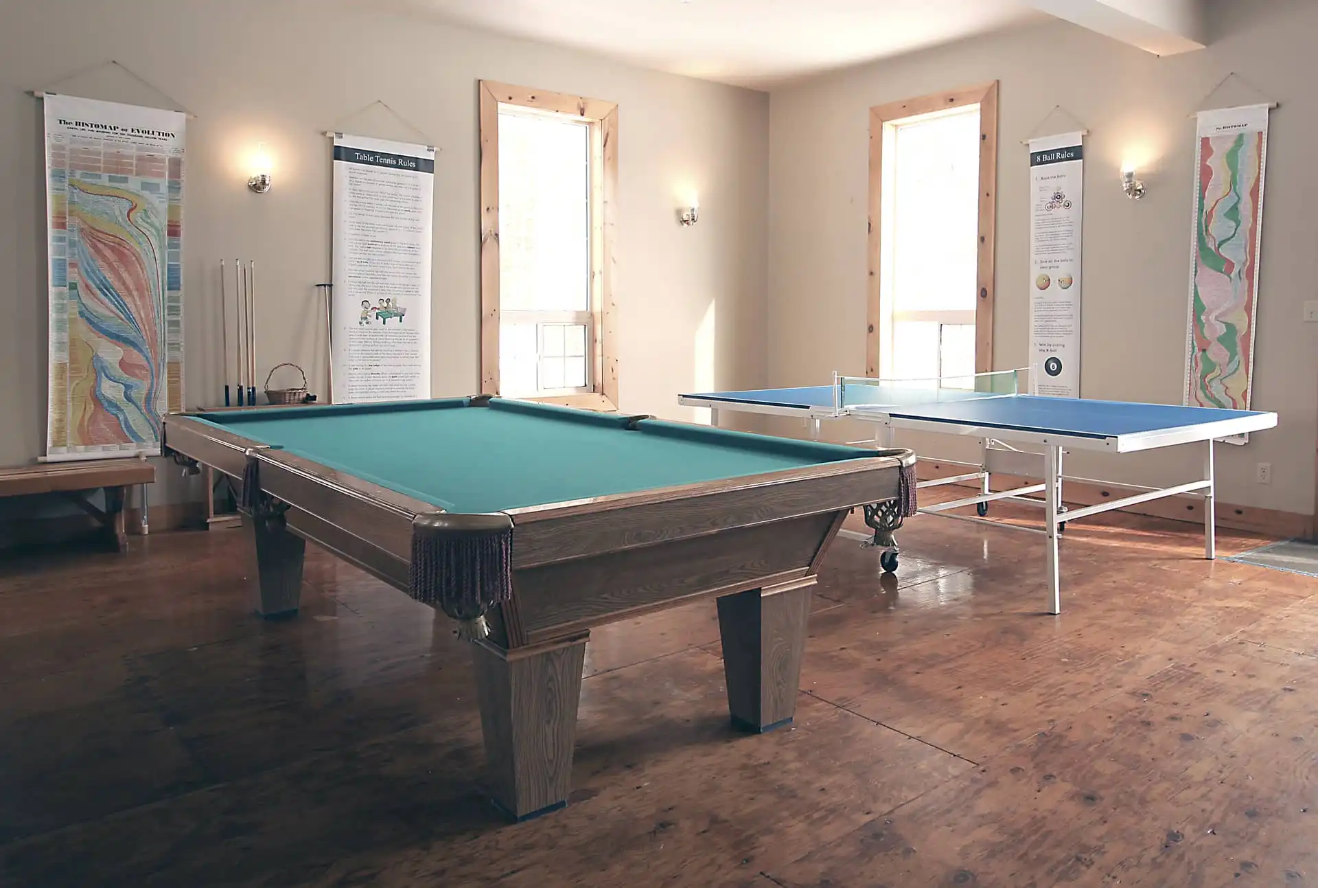 Pool and Ping Pong Table